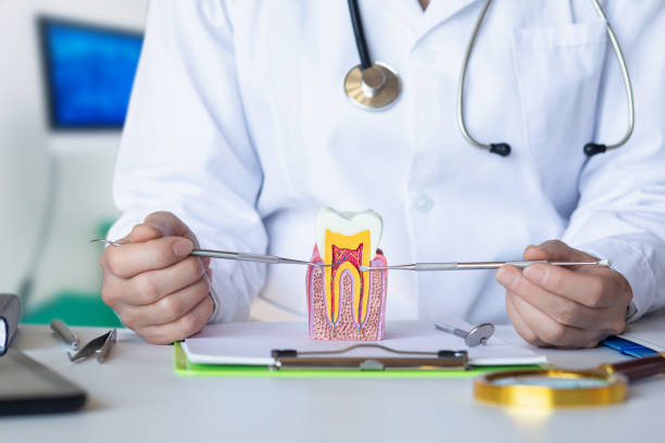 Best Dentist for Tooth Abscess  in Long Lake, MN